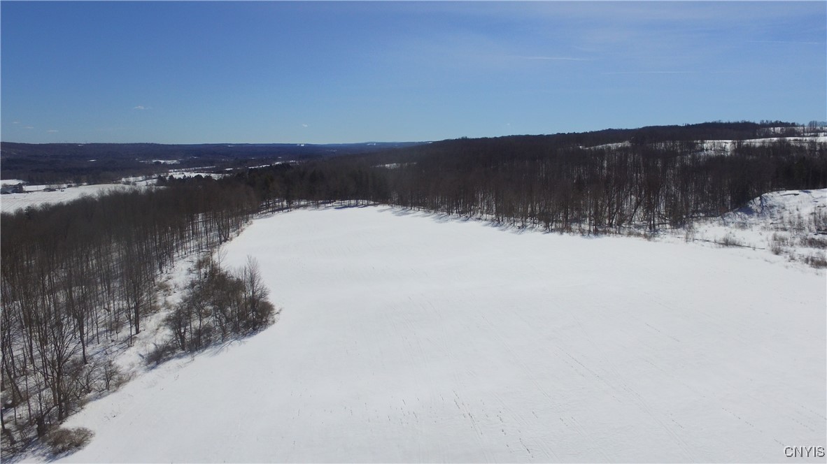 Milk House Road, Turin, New York image 43