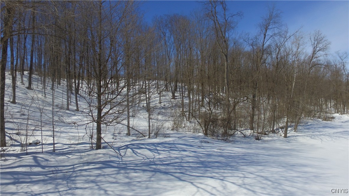 Milk House Road, Turin, New York image 42