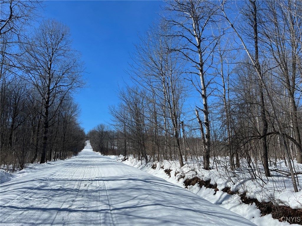 Milk House Road, Turin, New York image 17