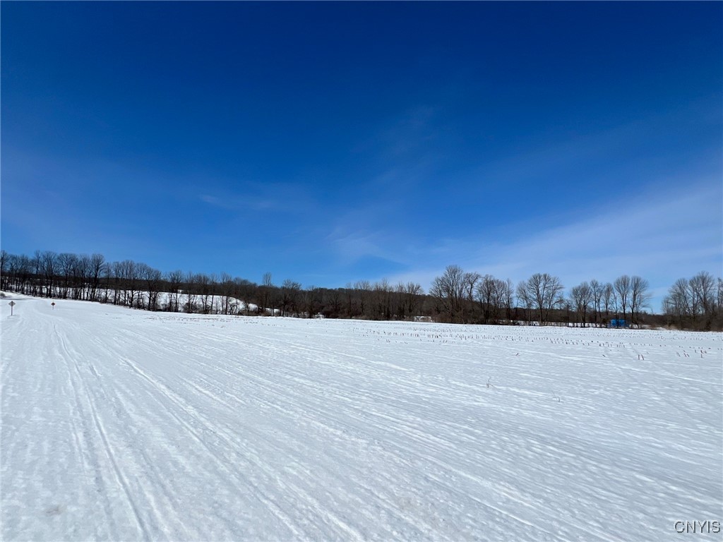Milk House Road, Turin, New York image 4
