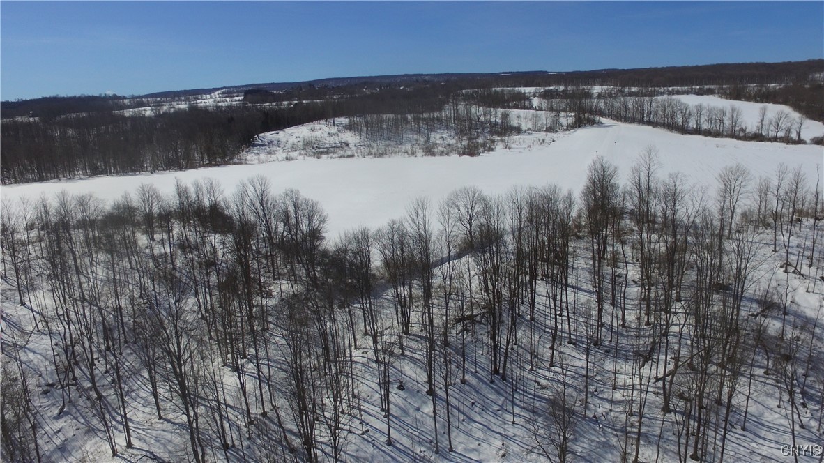 Milk House Road, Turin, New York image 37