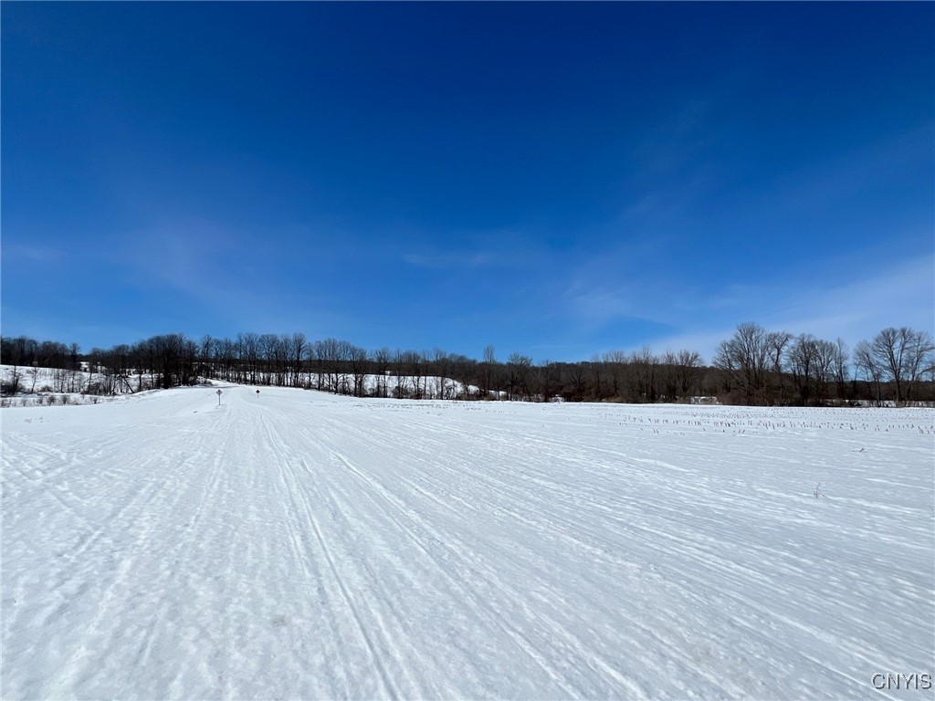 Milk House Road, Turin, New York image 5