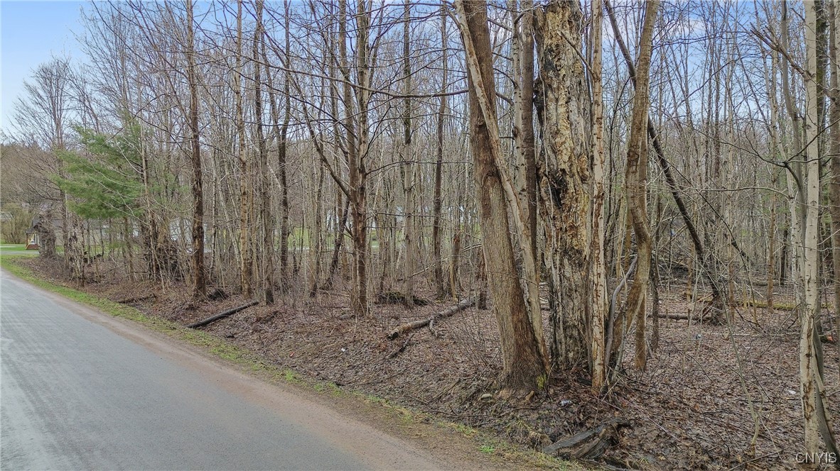 Perfield Road, Hastings, New York image 7
