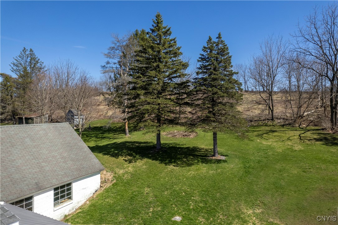 156 Elmwood Avenue, Sangerfield, New York image 45