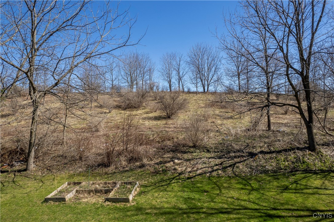 156 Elmwood Avenue, Sangerfield, New York image 49