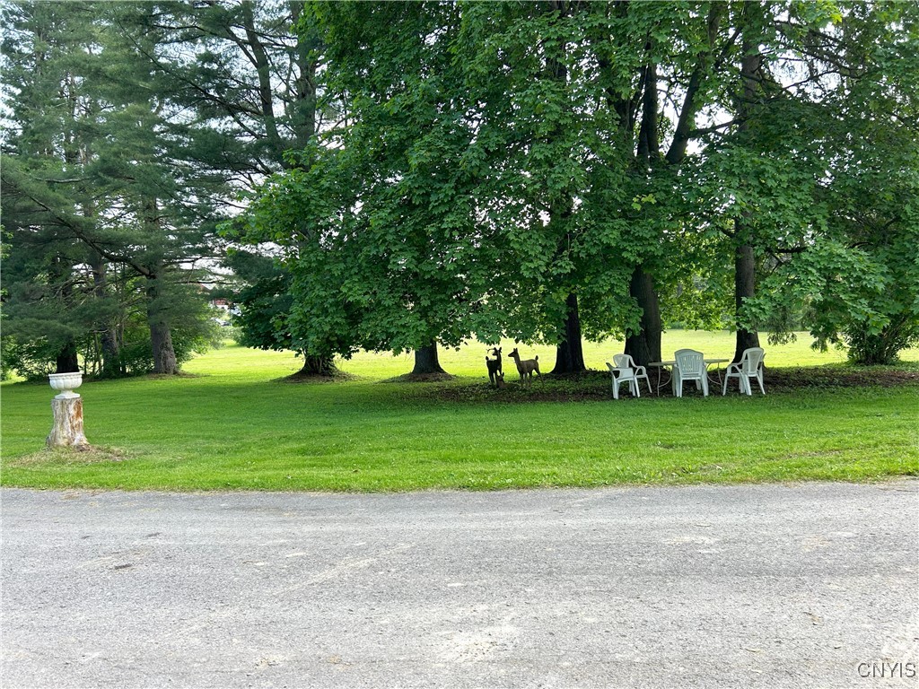 3481 Rt-221, Marathon, New York image 44