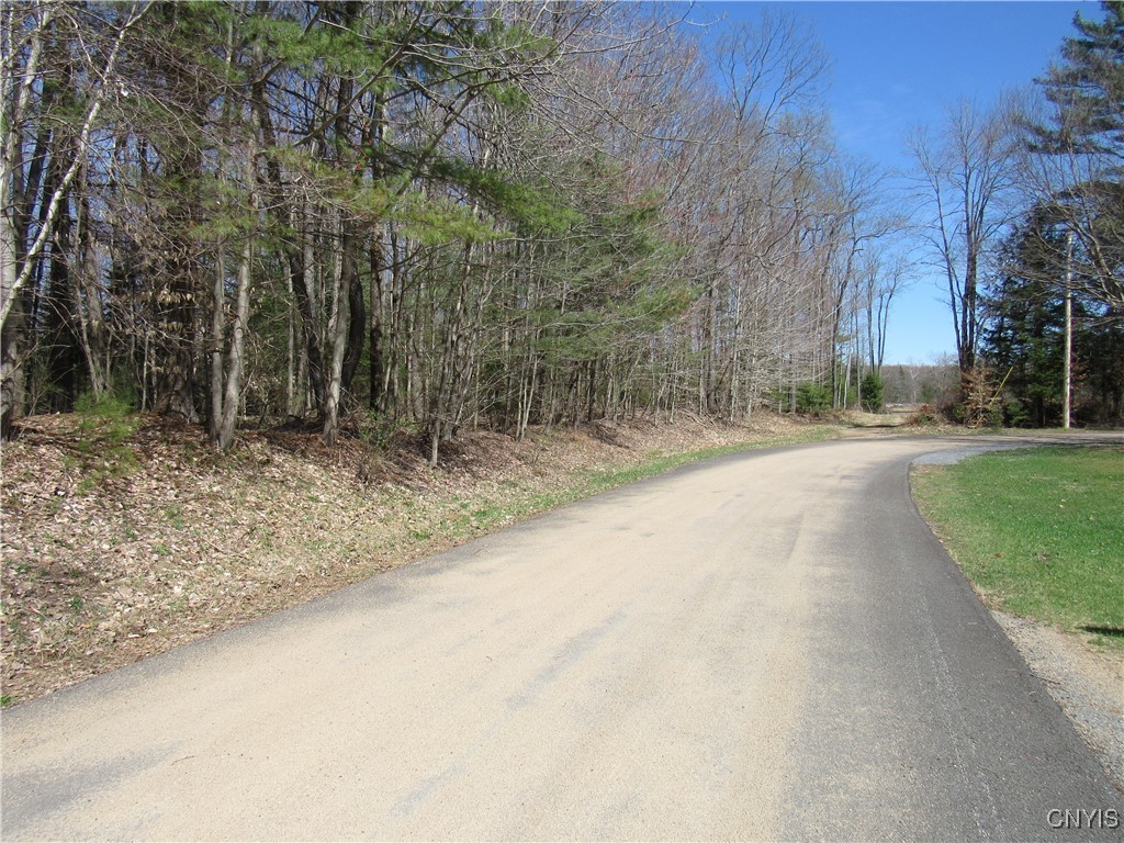 Alder Road, Forestport, New York image 3