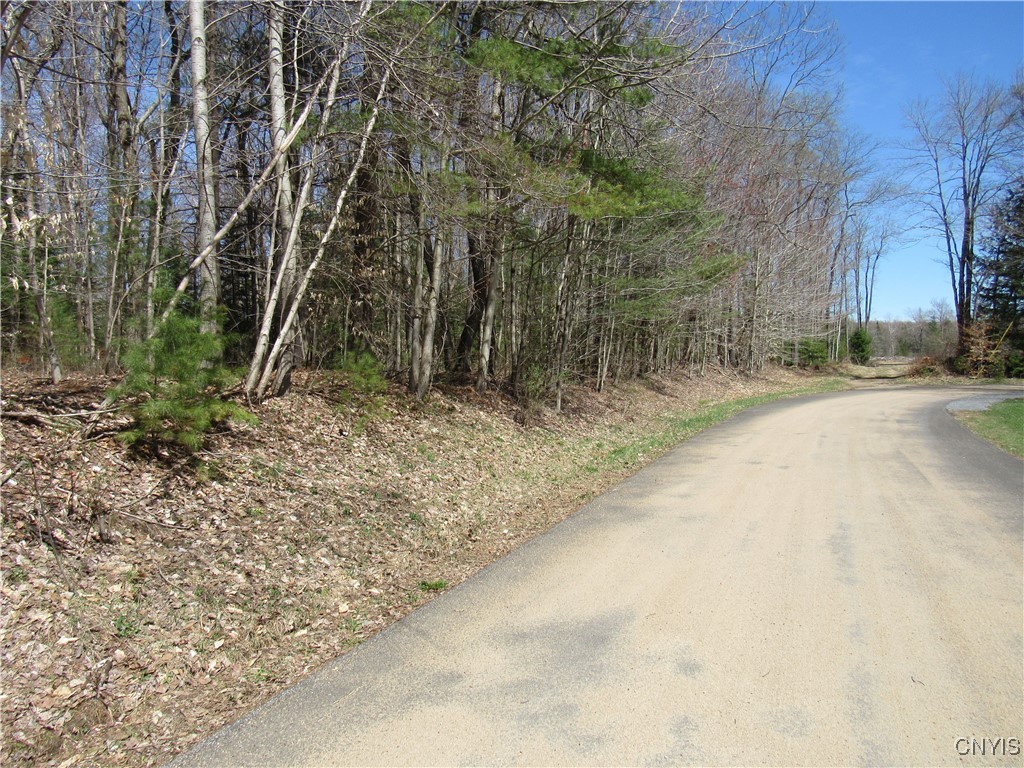 Alder Road, Forestport, New York image 1