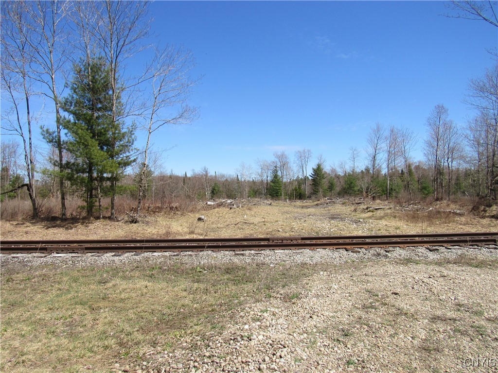 Alder Road, Forestport, New York image 8
