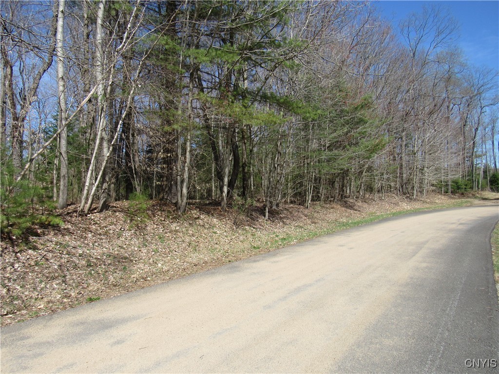 Alder Road, Forestport, New York image 2