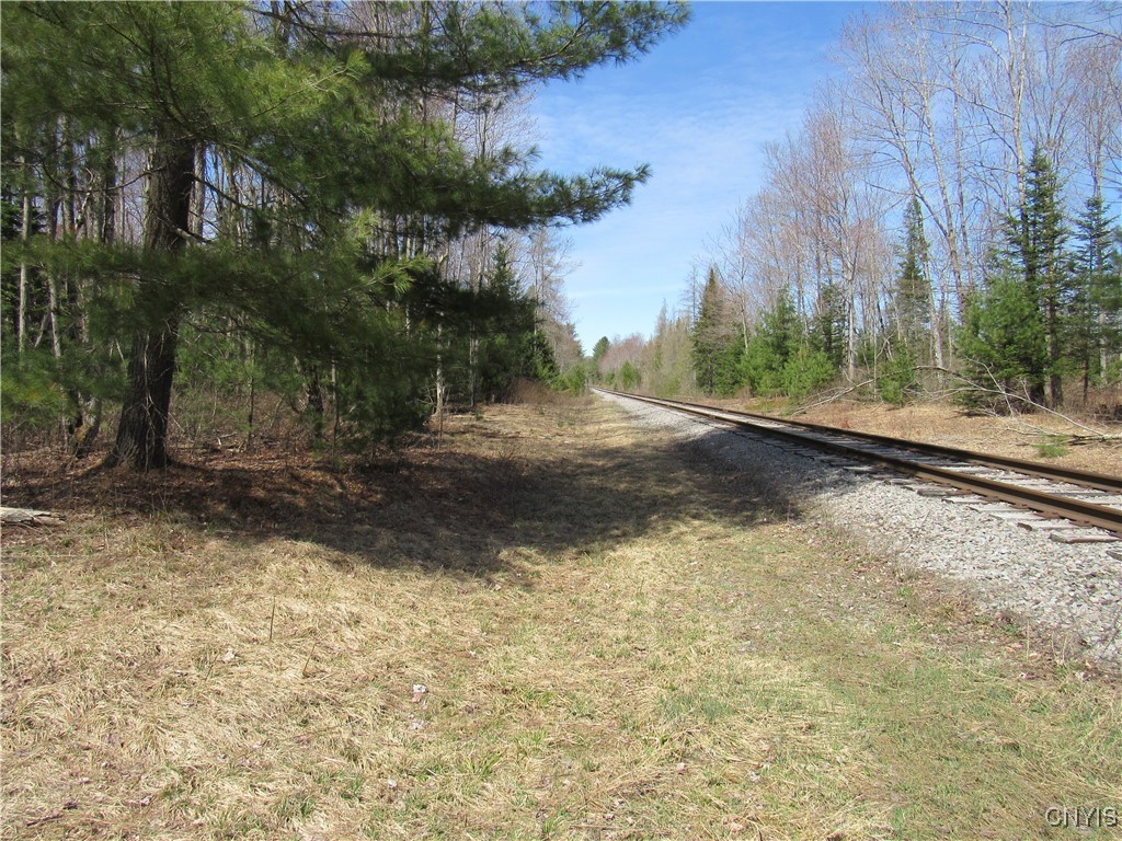 Alder Road, Forestport, New York image 9