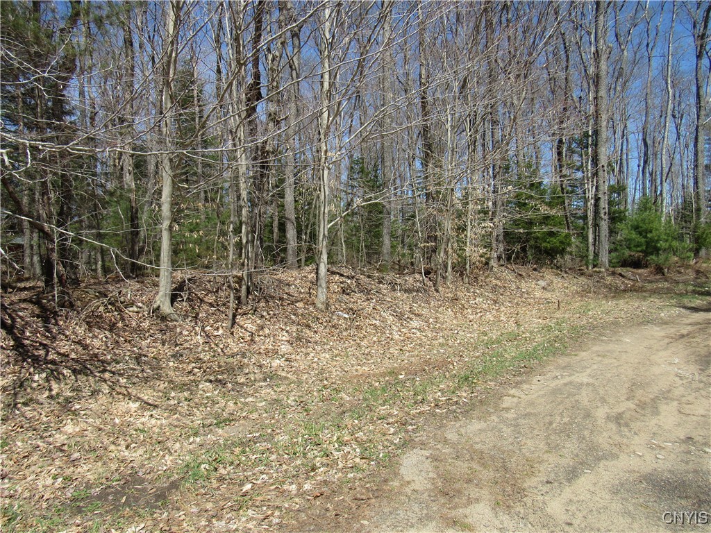 Alder Road, Forestport, New York image 4