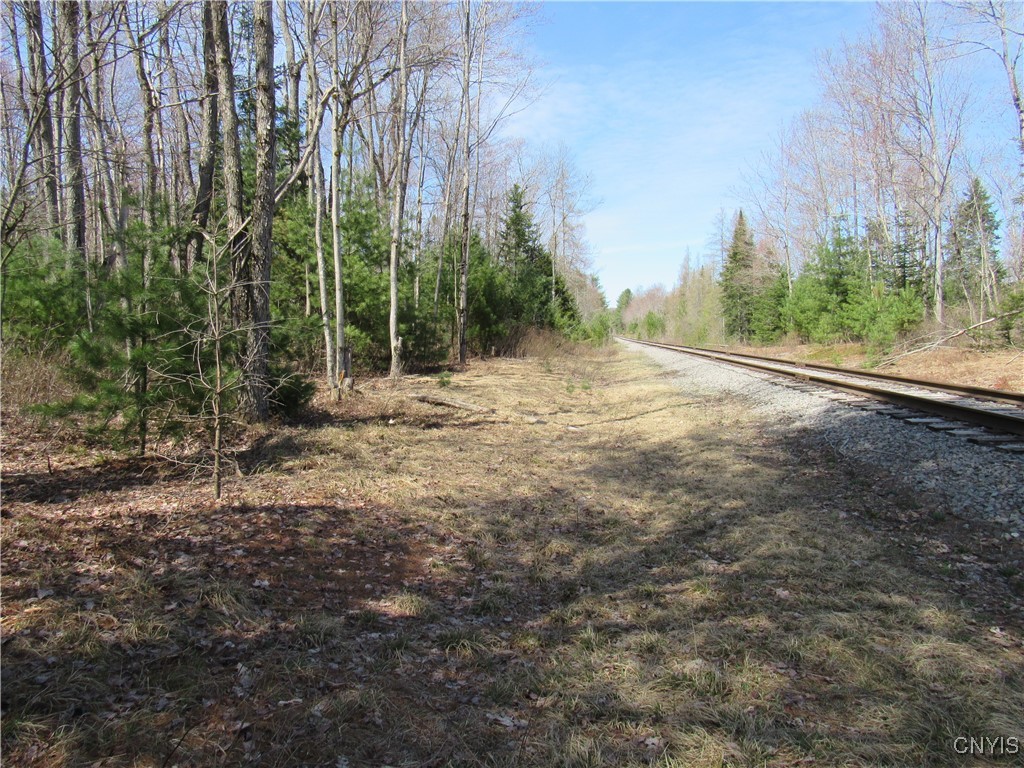 Alder Road, Forestport, New York image 11