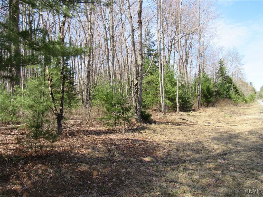 Alder Road, Forestport, New York image 10