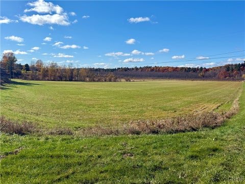 Vacant Land For Sale - Chub Lake Road<br/> Saint Lawrence County, Hermon, NY 13652