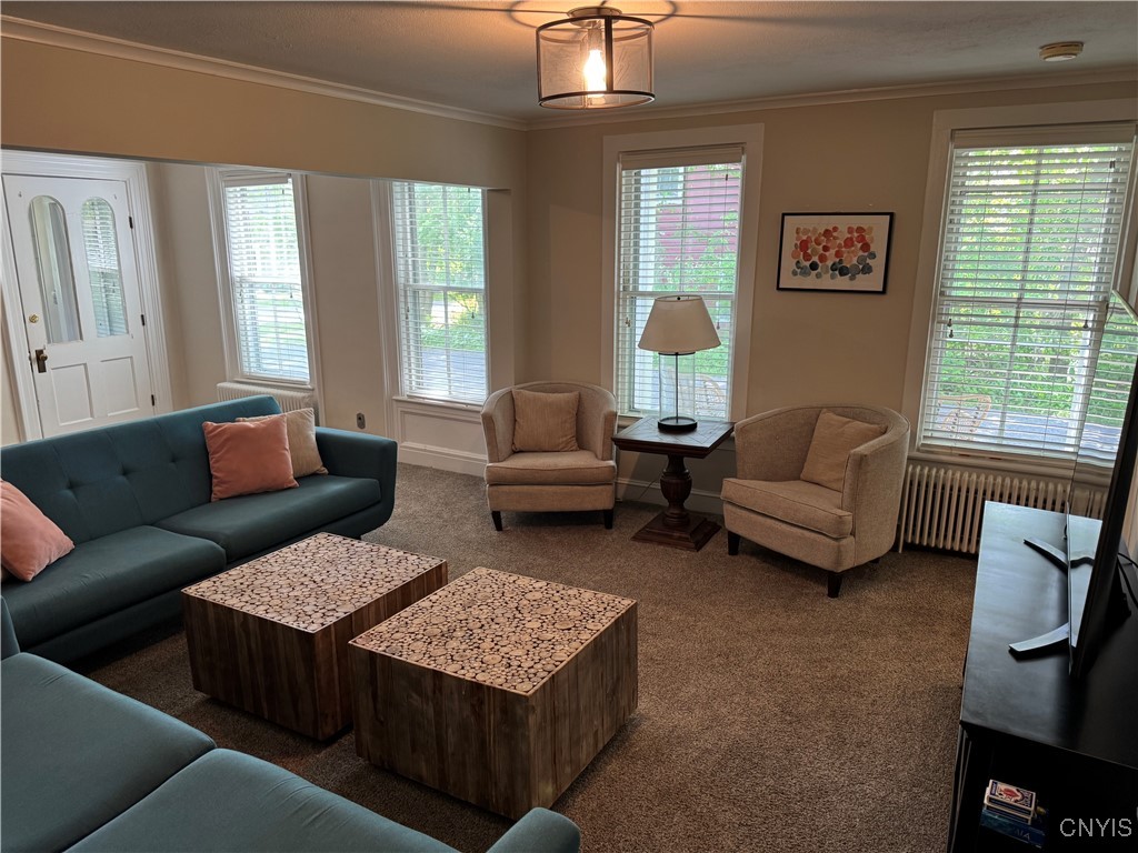 22 Hamilton Street, Hamilton, New York image 12