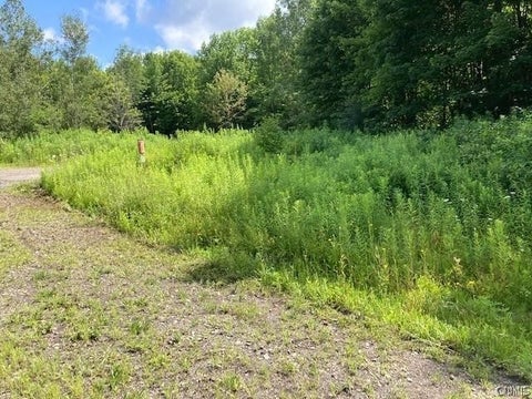 Vacant Land For Sale - 2212 Kypriotis Drive<br/> Virgil, NY 13045