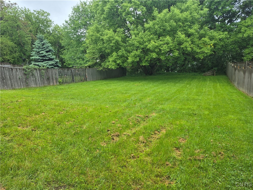 346 Green Street St, Syracuse, New York image 5