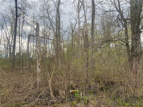MLS: S1603273