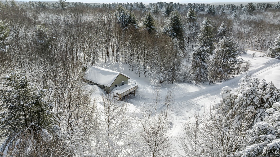 368 County Route 27 #70, Redfield, New York image 37