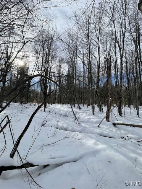 Tiny photo for 36562 County Route 46, Theresa, NY 13691 (MLS # S1655110)