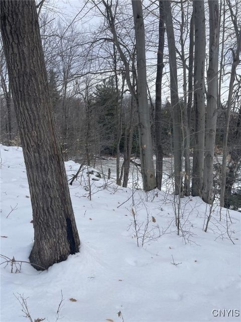 Tiny photo for 36562 County Route 46, Theresa, NY 13691 (MLS # S1655110)