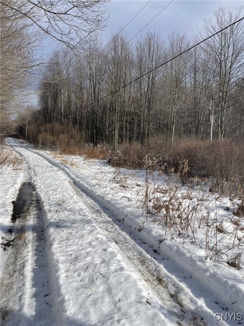 Tiny photo for 36562 County Route 46, Theresa, NY 13691 (MLS # S1655110)