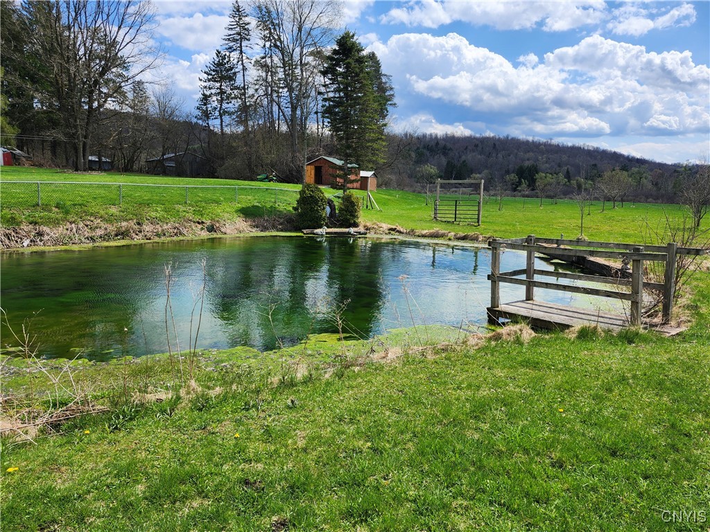 8968 Swamp Road, Brookfield, New York image 2