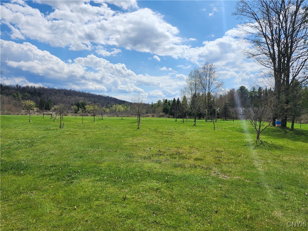 8968 Swamp Road, Brookfield, New York image 3