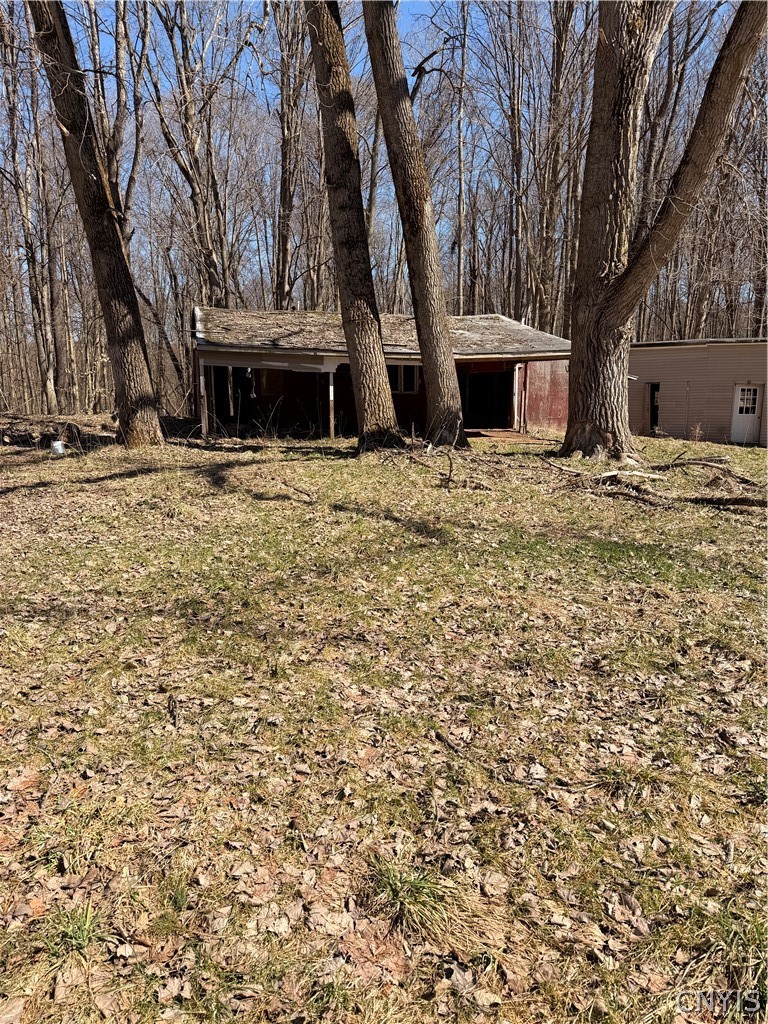 1036 Peru Road
