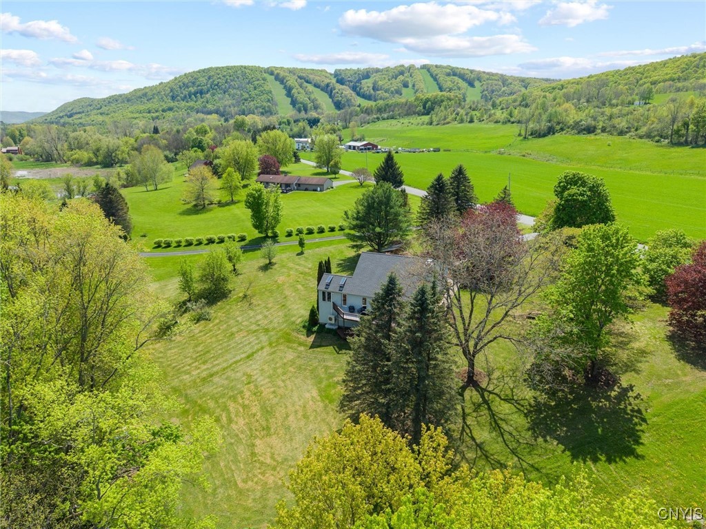 220 Long Road, Tully, New York image 44