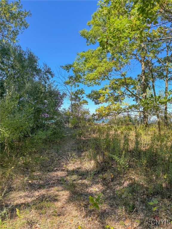 Richland, New York 13142, United States, ,Commercial,Active,215352