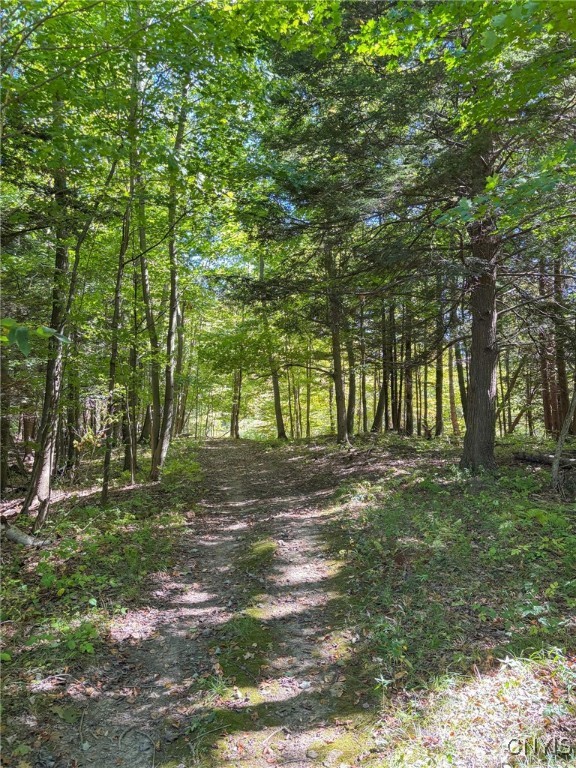 Richland, New York 13142, United States, ,Commercial,Active,215352