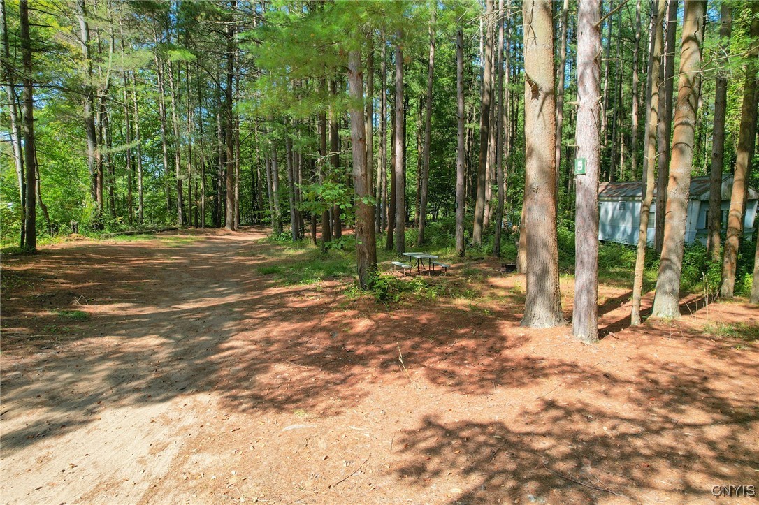 Richland, New York 13142, United States, ,Commercial,Active,215352