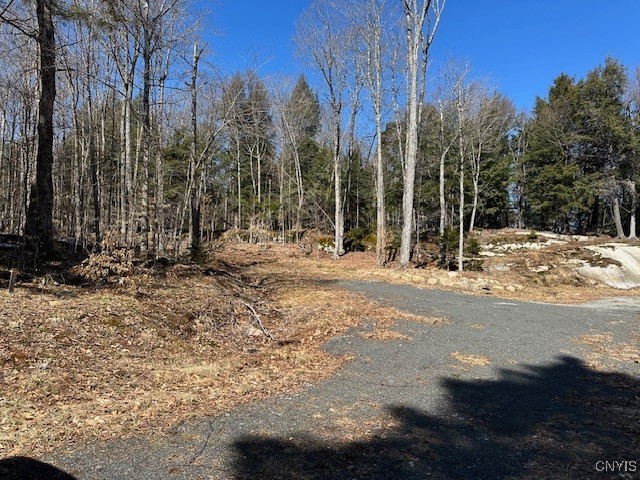 Brightside Road, Long Lake, New York image 2
