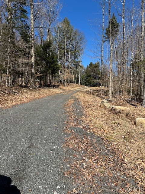 Brightside Road, Long Lake, New York image 1