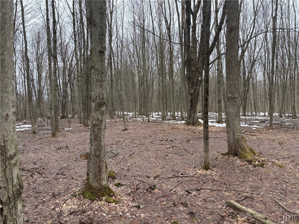 Lot 2 Little Canada Road, Hastings, New York image 10