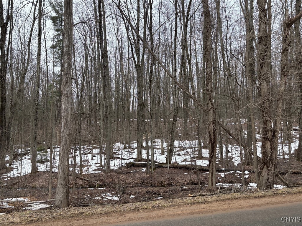 Lot 2 Little Canada Road, Hastings, New York image 6