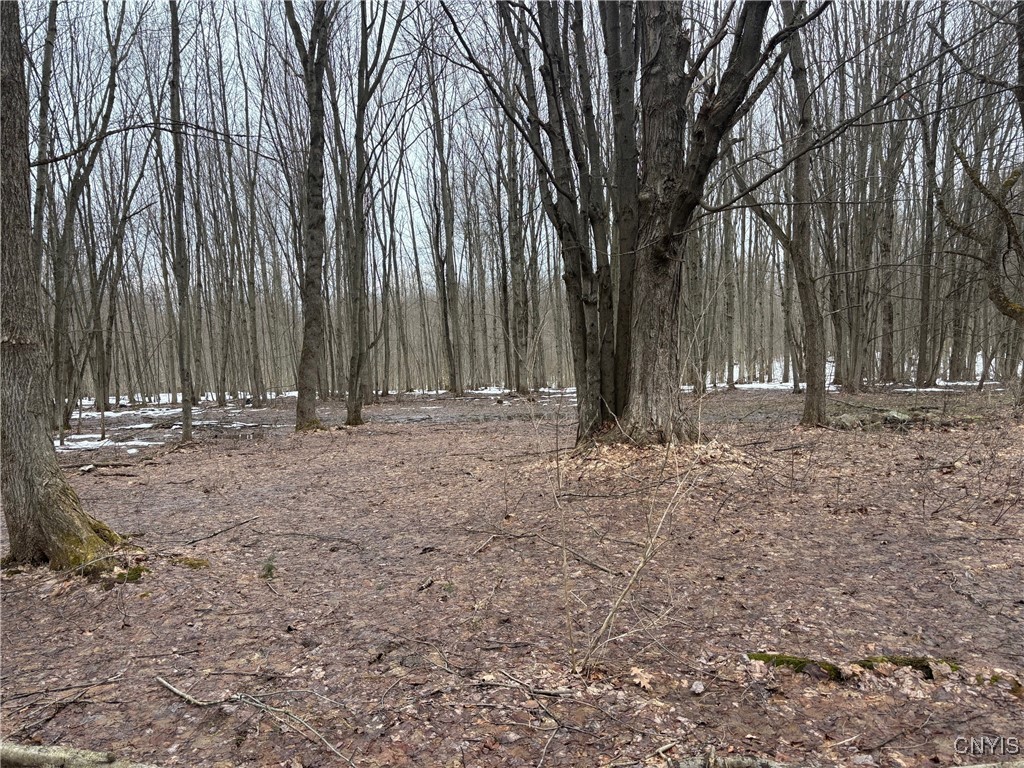 Lot 2 Little Canada Road, Hastings, New York image 9
