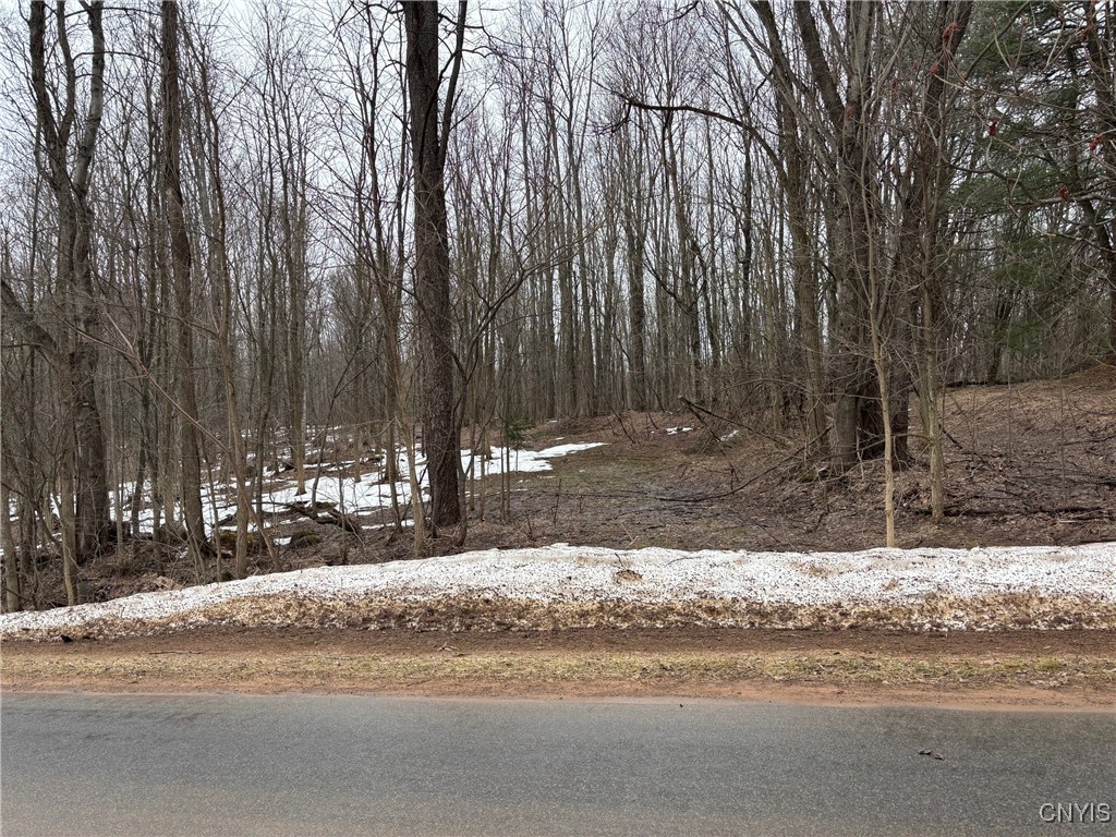 Lot 2 Little Canada Road, Hastings, New York image 8