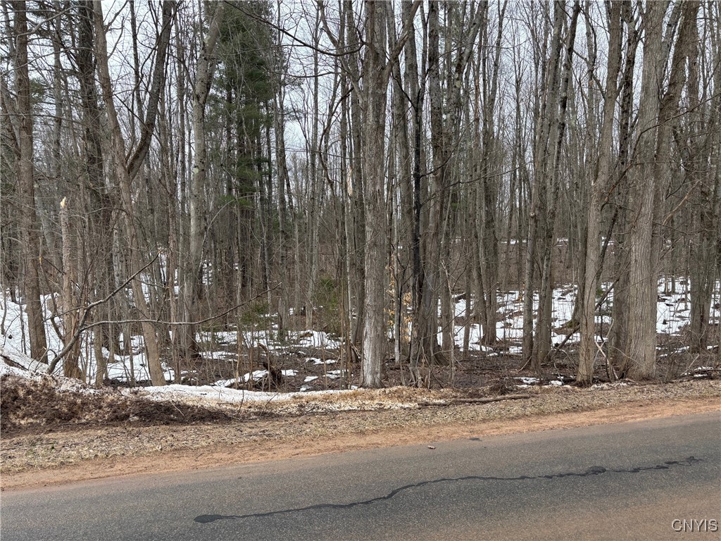 Lot 2 Little Canada Road, Hastings, New York image 5