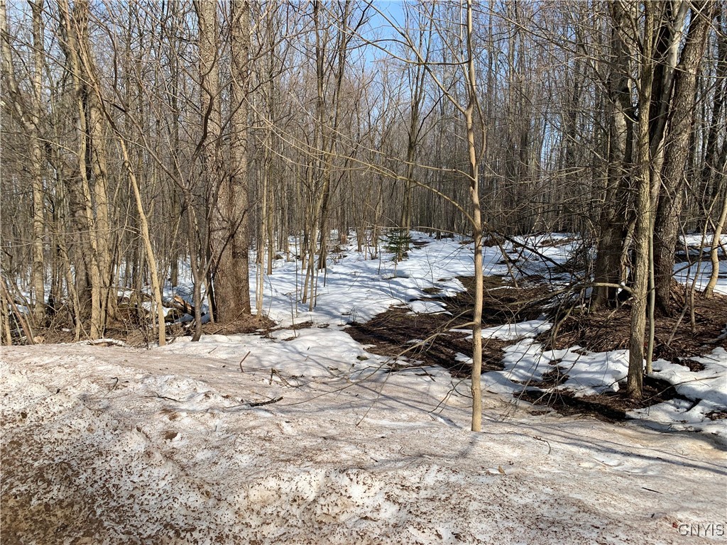 Lot 2 Little Canada Road, Hastings, New York image 1
