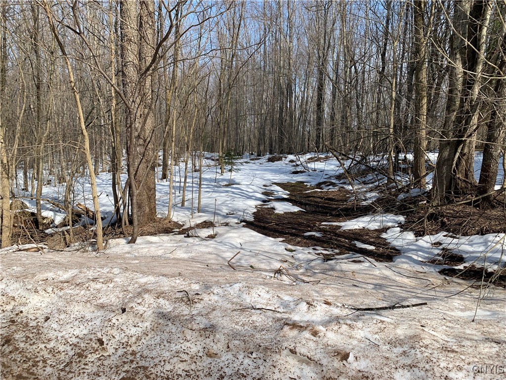 Lot 2 Little Canada Road, Hastings, New York image 2