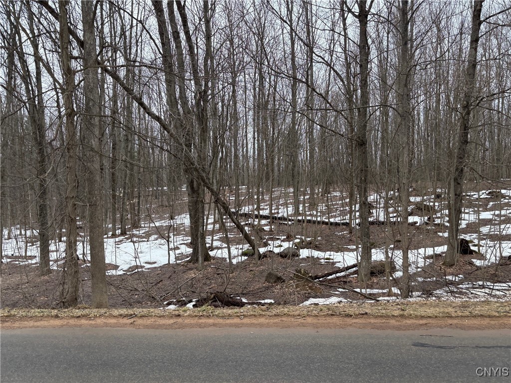 Lot 2 Little Canada Road, Hastings, New York image 7