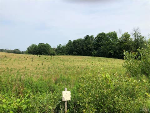 Featured picture for the property S1620635
