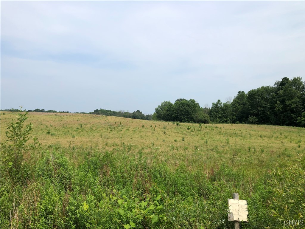 00 Co Rt 53 - Lot #3