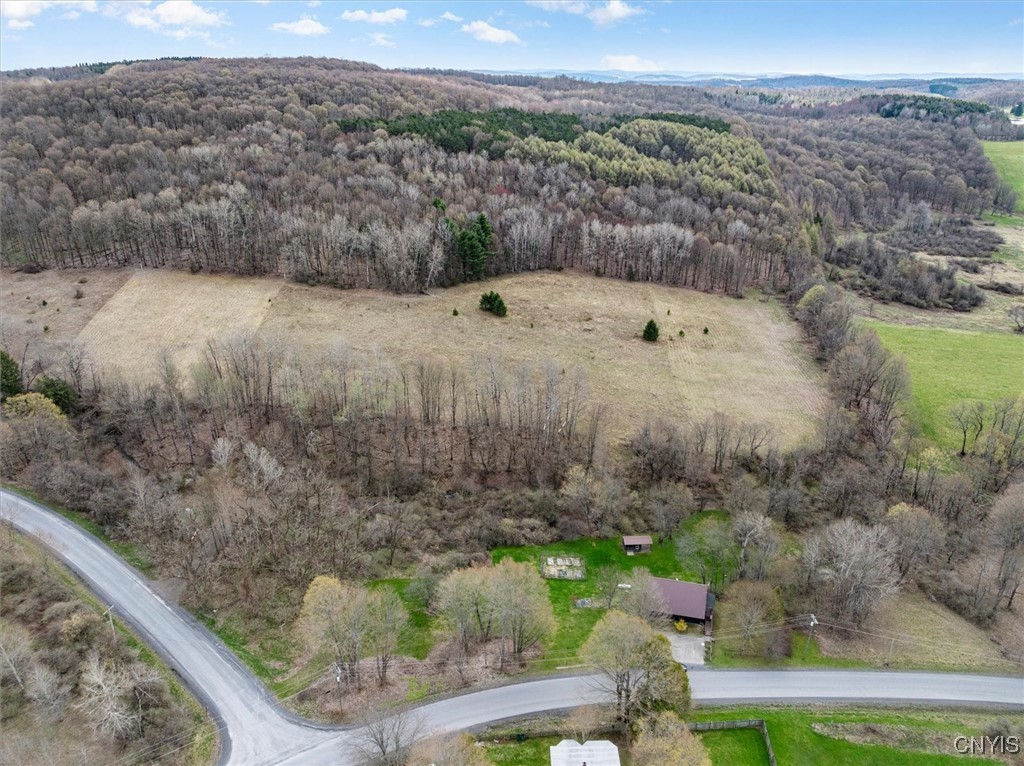 5444 Hill Road, Madison, New York image 47