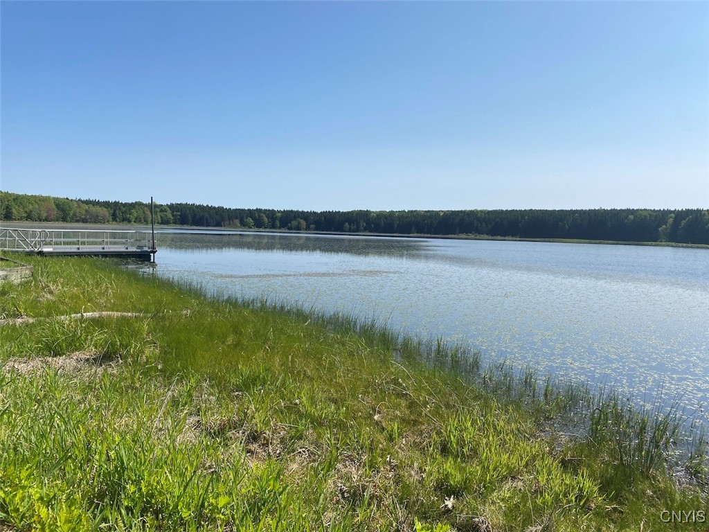 8321 Camp Road, Caneadea, New York image 24