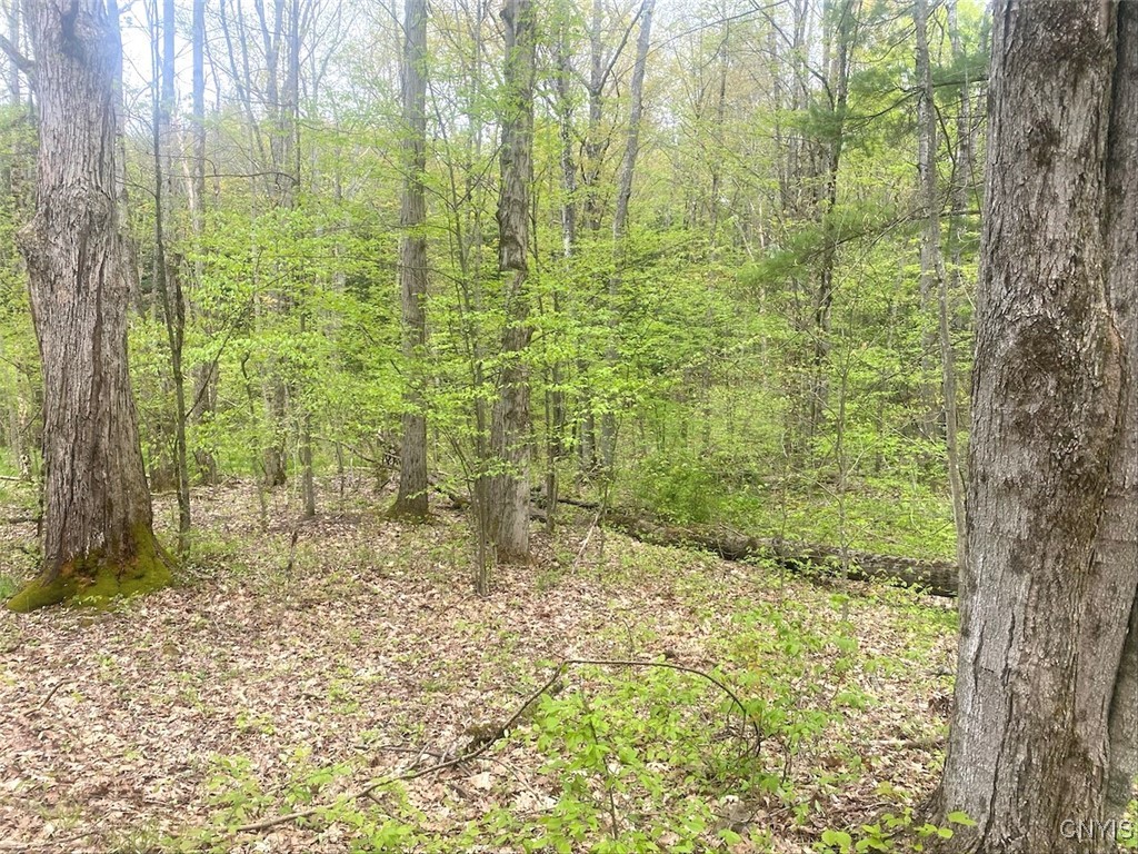 8321 Camp Road, Caneadea, New York image 18