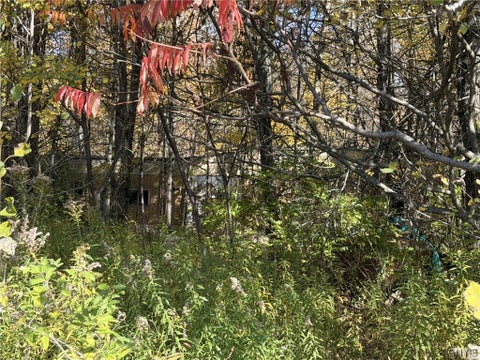 Tiny photo for 1521 Shoemaker Road, German Flatts, NY 13407 (MLS # S1723960)